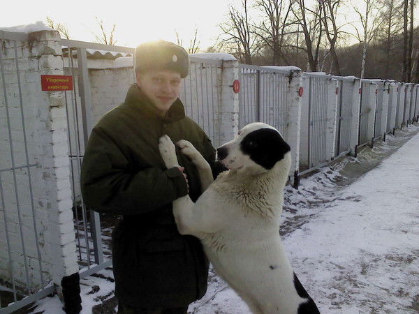 Никита Гузев