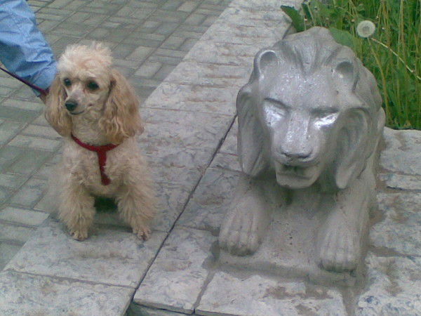 Елена Смурыгина