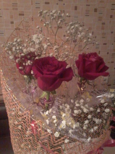 Кристина Трапылова