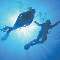 Александр Доленко