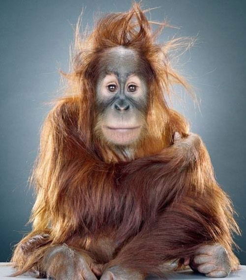 Светлана Cветлановна