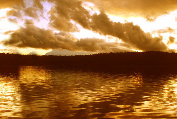 Инга Лукьянова