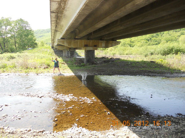 Евгения Головушкина