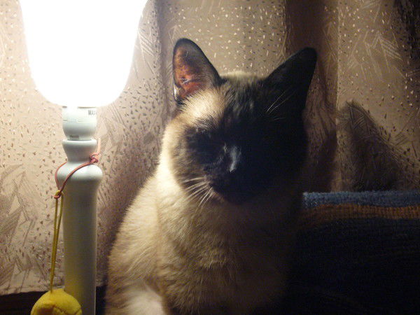 Юлия Григорьева