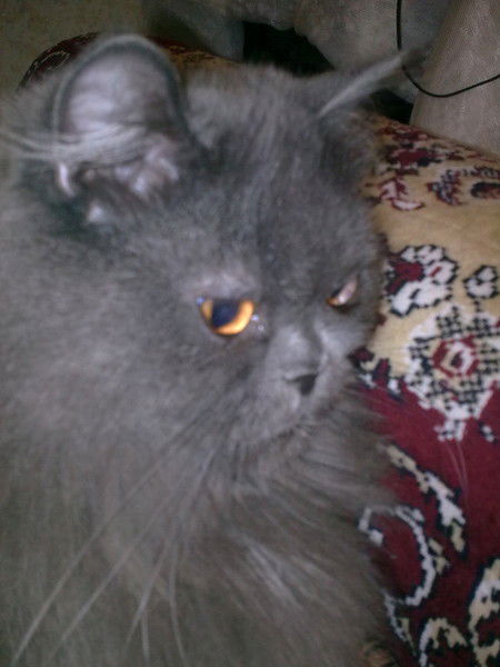 Павел Хозяшев