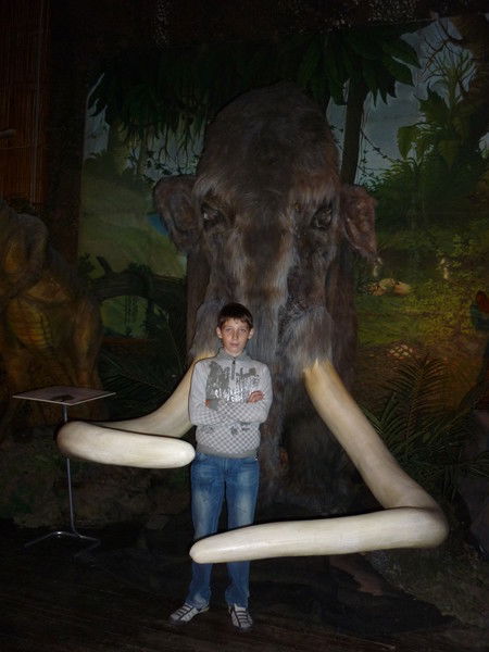 Никита Соколов