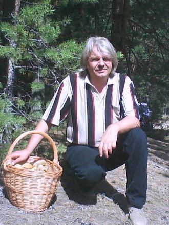 Владимир Колчин