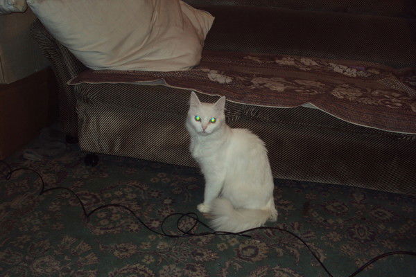 Ирина Русанова