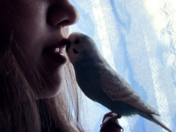 Ирина Папченко