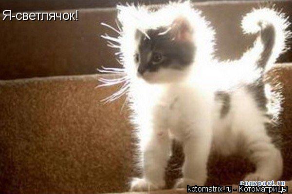 Светлана Андреева