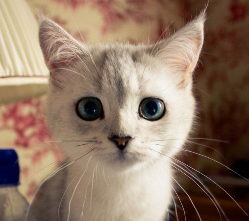 Сергей Иванович