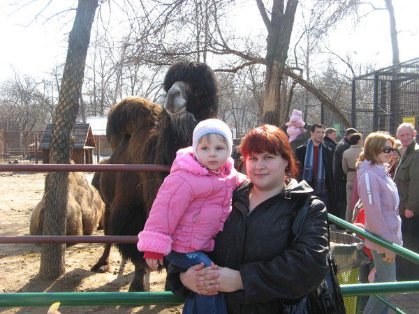 Елена Сторожилова