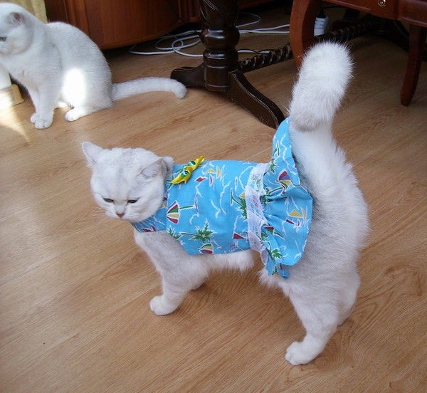 Валентина Парфенова