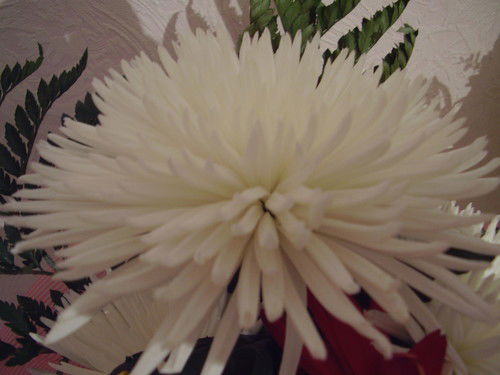 Амир Гизатуллин