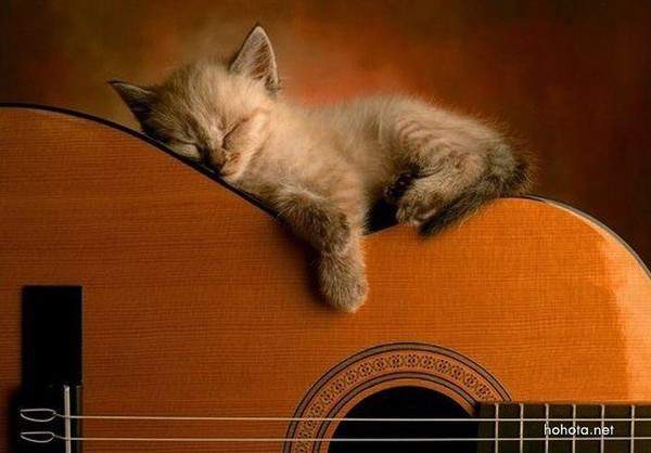 Марина Пестова