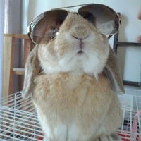 Рафис Тасиманов