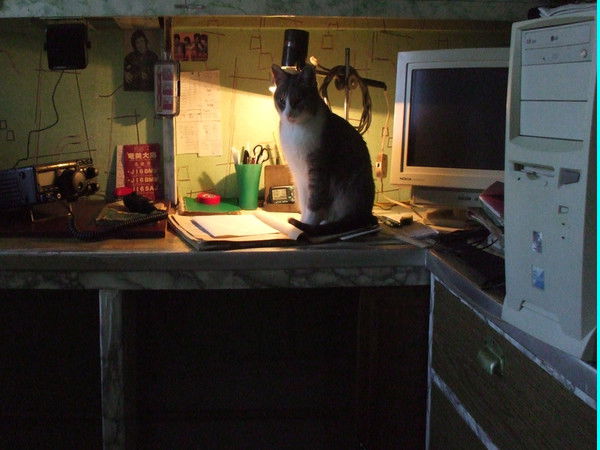 Александр Головин