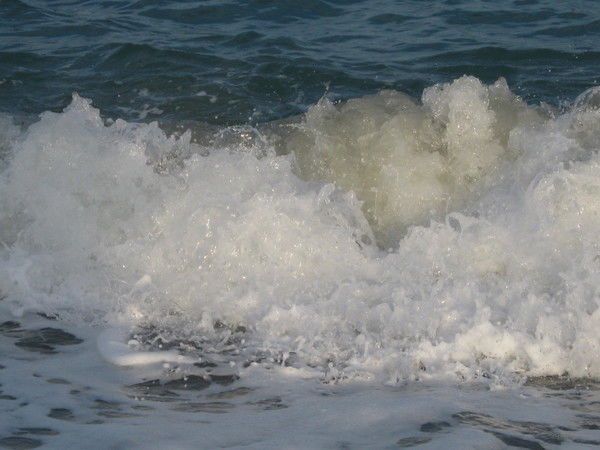 Владимир Сотниченко