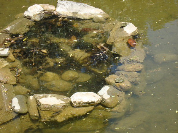 Наталья Третьякова