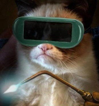 Алексей Чижов