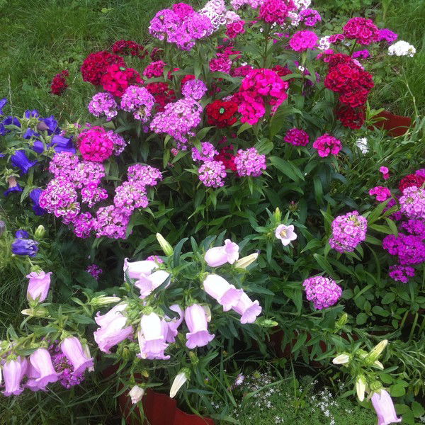 Наталья Бабенко