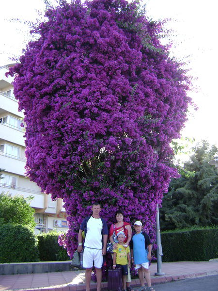 Галина Кармазин