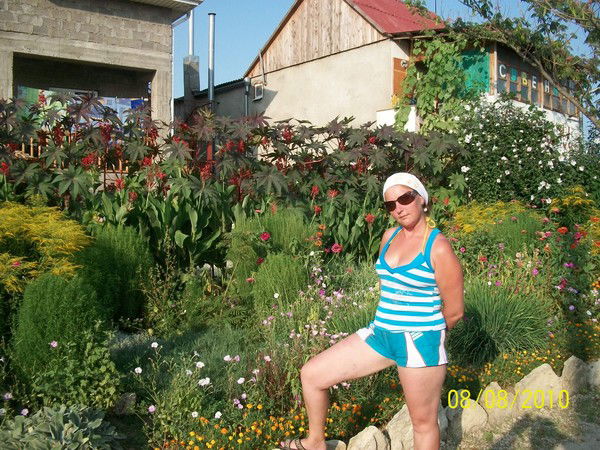 Светлана Платонова