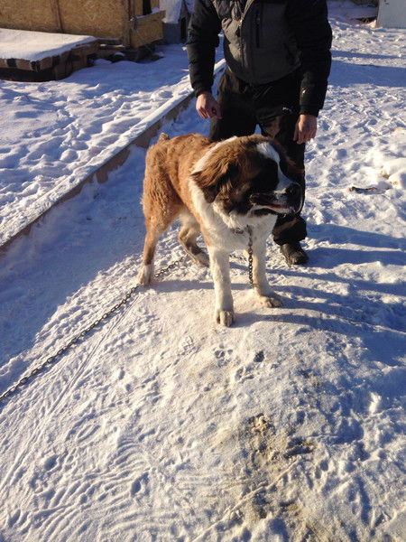 Евгений Шелдовицкий