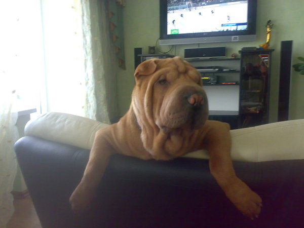 Светлана Пономарчук