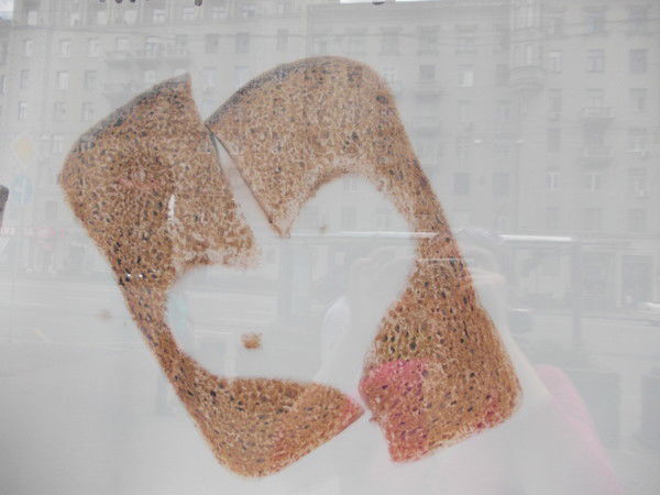 Оксана Василица