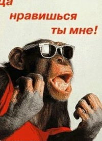 Таинственный Незнакомец