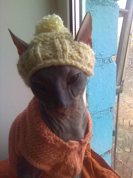 Ди Солнышко