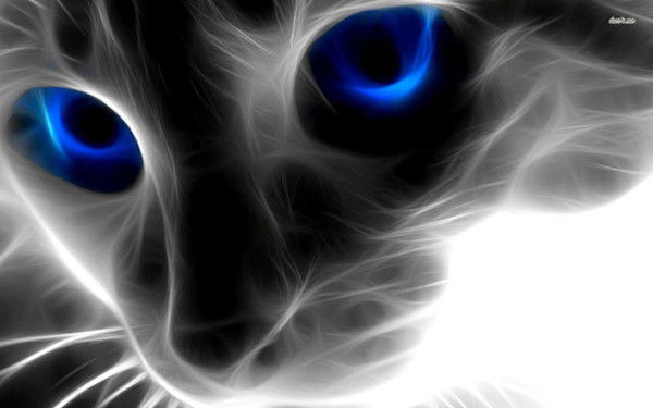 Неизвестно Неизвестно