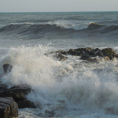 Евгений Романов