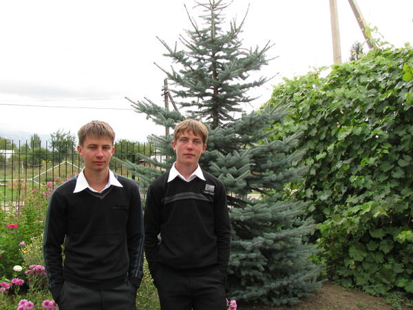 Рома Домаев