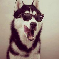 Кирюха Шевчик