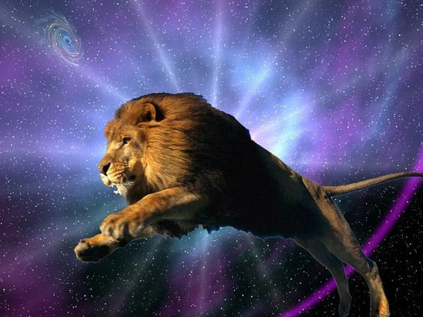 Павел Мухин