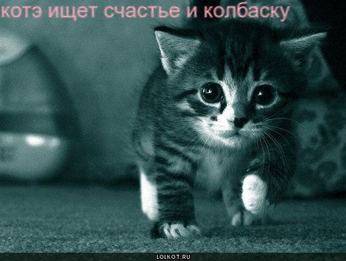 Евгений Великолуг