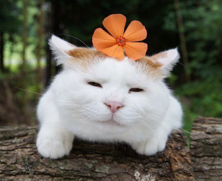 Саша Киричук