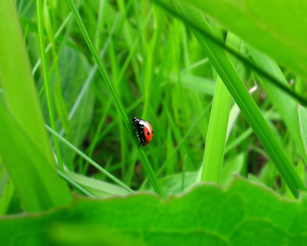 Маргарита Гайнутдинова