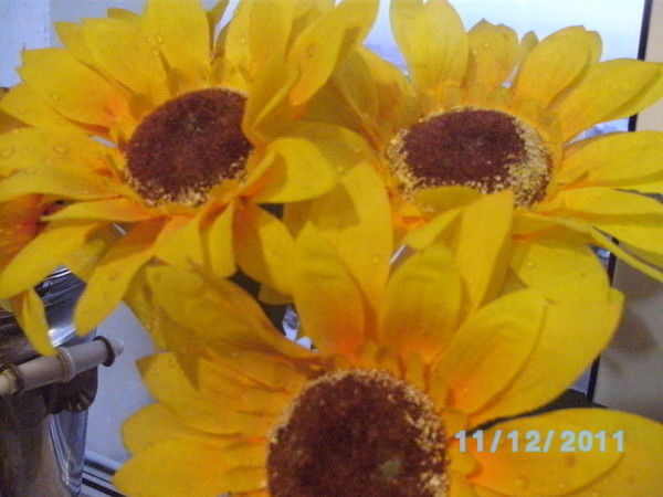 Ирина Скорнякова