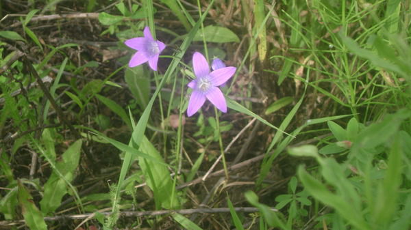 Ольга Захарушкина