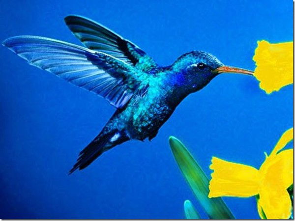 Маша Погорелая