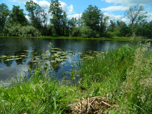 Диля Муругова