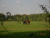 ***оля*** Олечк@