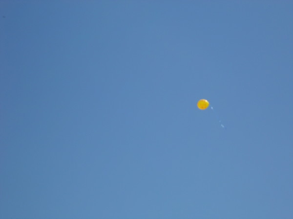 Дорогая И Желанная.