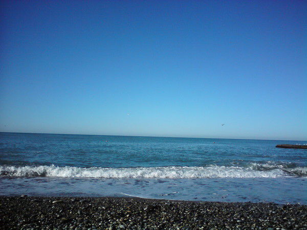 Александр Кузнецов