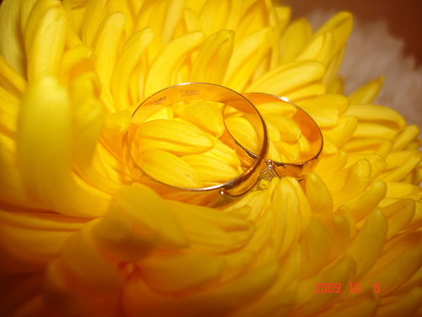 Таня Гаврилаш