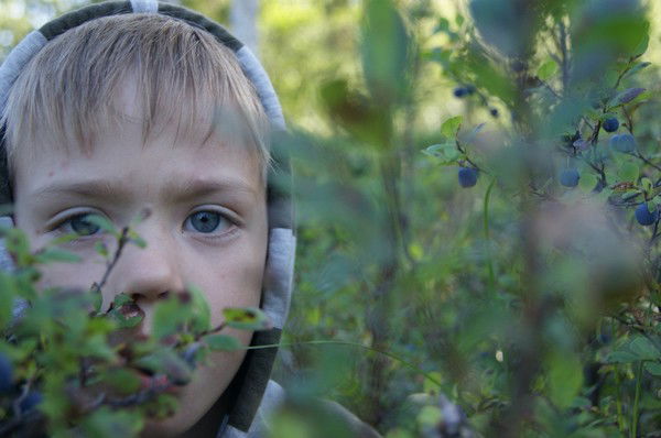 Татьяна Снежевская