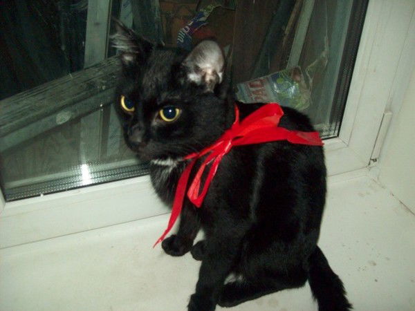 Татьяна Царёва